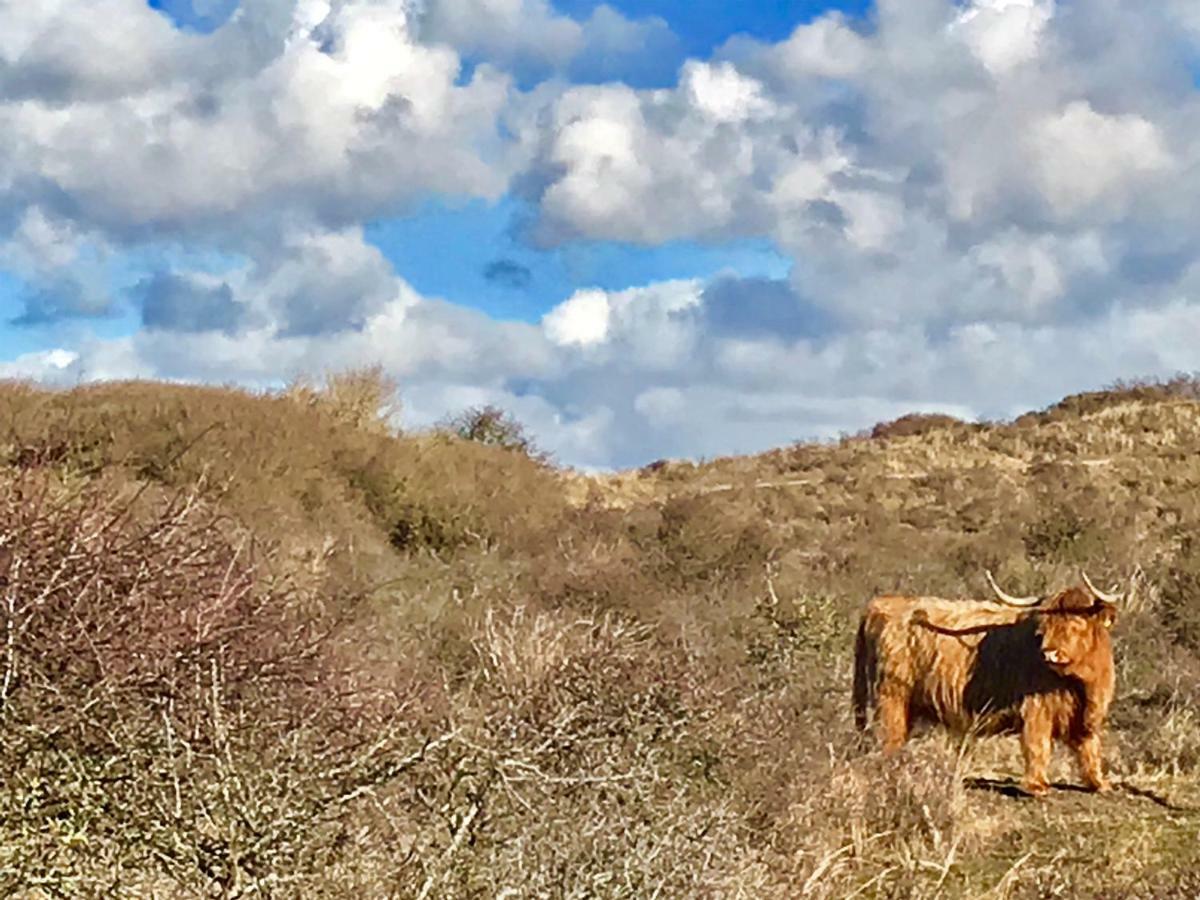 Apartmán Achter De Duinen Zandvoort Exteriér fotografie