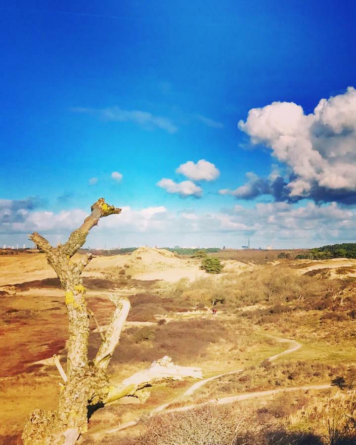 Apartmán Achter De Duinen Zandvoort Exteriér fotografie